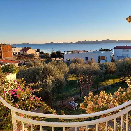 In - Zadar Riviera 42688