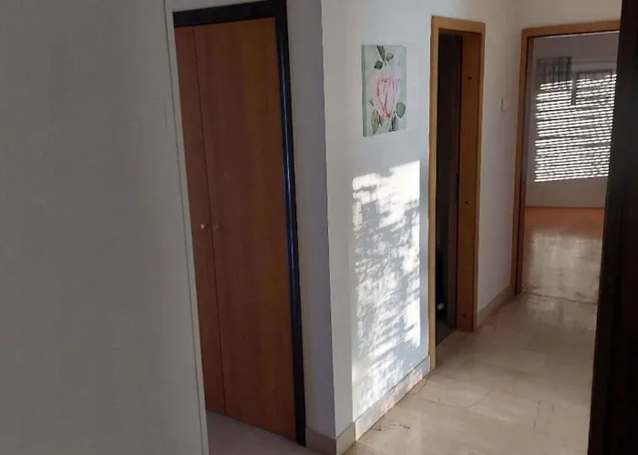 In - Zadar Riviera 42688