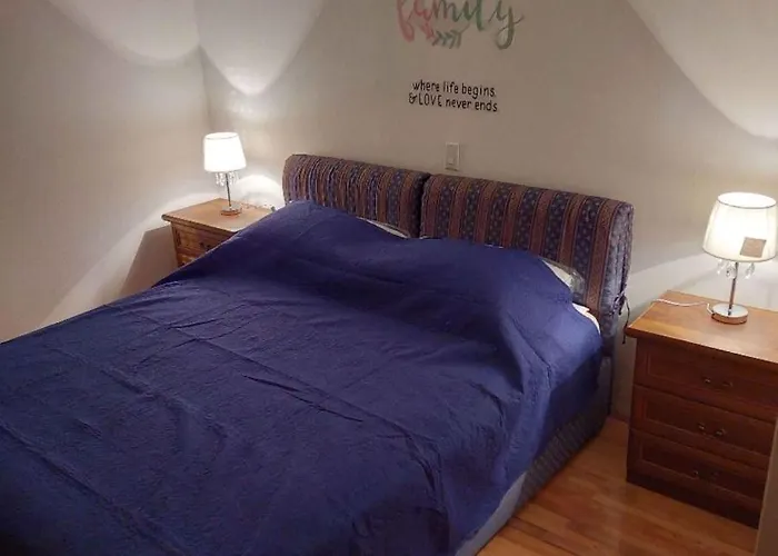 In - Zadar Riviera 42688 *