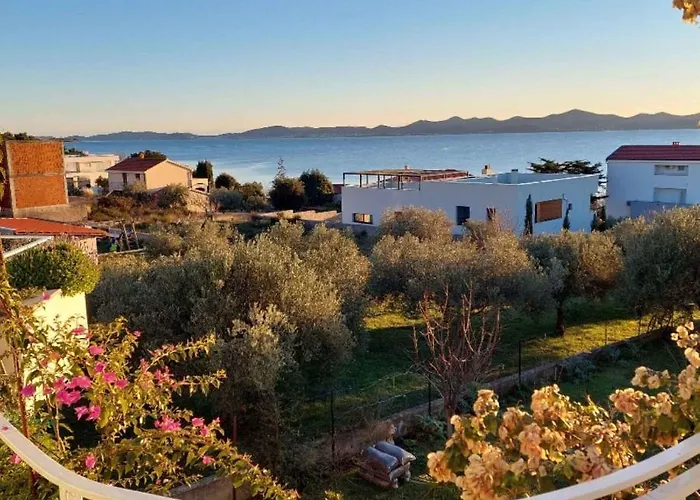 In - Zadar Riviera 42688